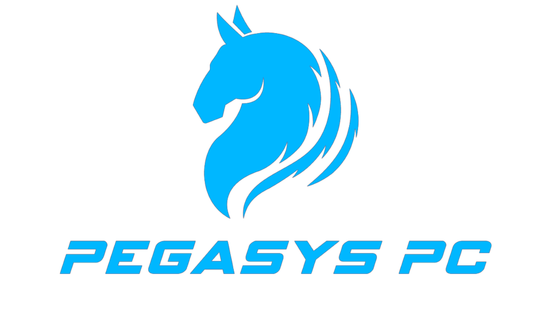 Pegasys PC